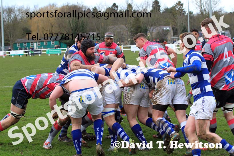 Tynedale v Stourbridge, Tynedale Park, Corbridge, Northumberland. Photo: David T. Hewitson/Sports for All Pics